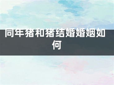同年猪和猪结婚婚姻如何