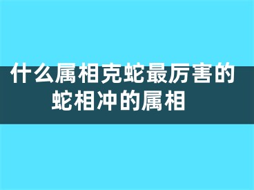 什么属相克蛇最厉害的 蛇相冲的属相
