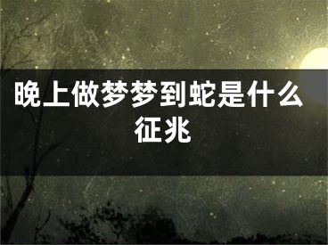 晚上做梦梦到蛇是什么征兆