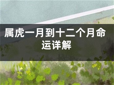 属虎一月到十二个月命运详解
