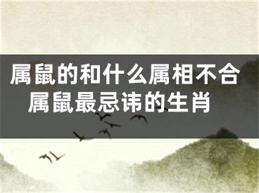 属鼠的和什么属相不合 属鼠最忌讳的生肖