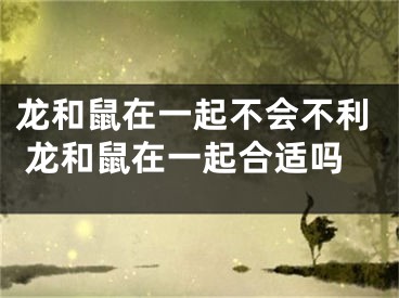 龙和鼠在一起不会不利 龙和鼠在一起合适吗