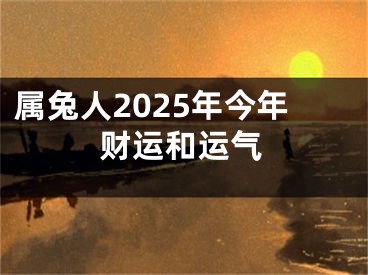 属兔人2025年今年财运和运气