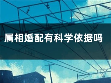 属相婚配有科学依据吗