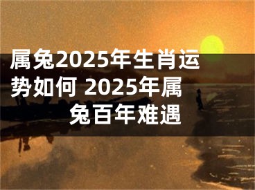 属兔2025年生肖运势如何 2025年属兔百年难遇