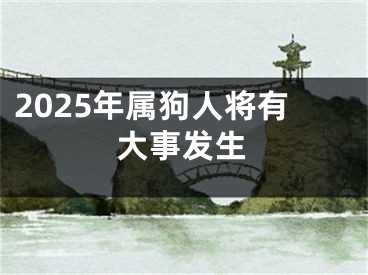 2025年属狗人将有大事发生