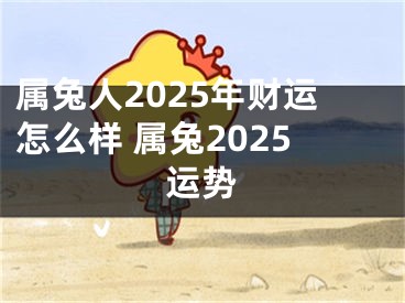 属兔人2025年财运怎么样 属兔2025运势