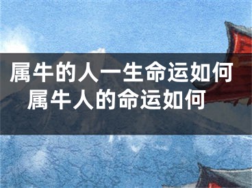 属牛的人一生命运如何 属牛人的命运如何