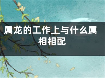 属龙的工作上与什么属相相配