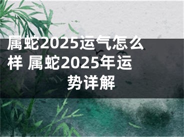属蛇2025运气怎么样 属蛇2025年运势详解