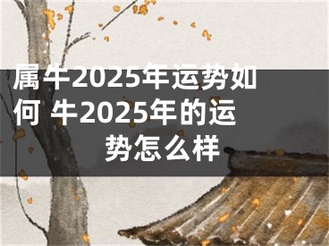 属牛2025年运势如何 牛2025年的运势怎么样