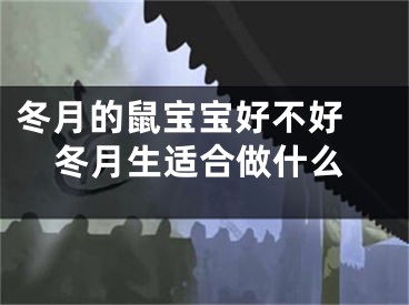冬月的鼠宝宝好不好 冬月生适合做什么