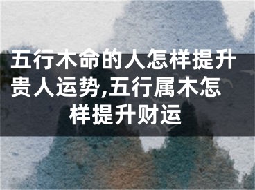 五行木命的人怎样提升贵人运势,五行属木怎样提升财运