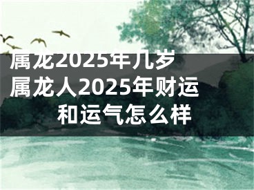属龙2025年几岁 属龙人2025年财运和运气怎么样