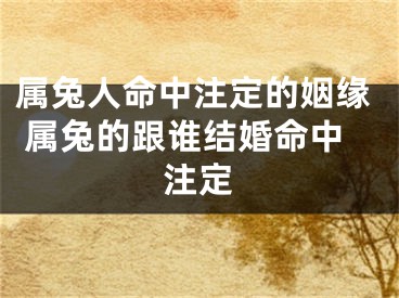 属兔人命中注定的姻缘 属兔的跟谁结婚命中注定