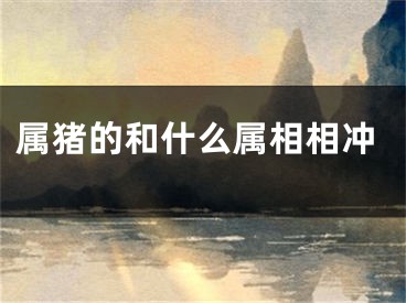 属猪的和什么属相相冲
