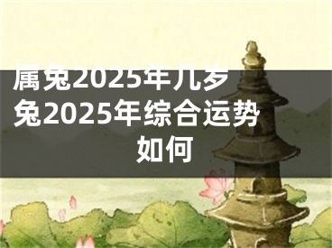 属兔2025年几岁 兔2025年综合运势如何