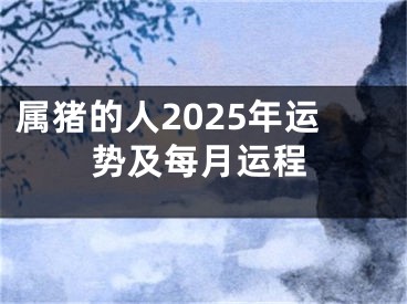 属猪的人2025年运势及每月运程