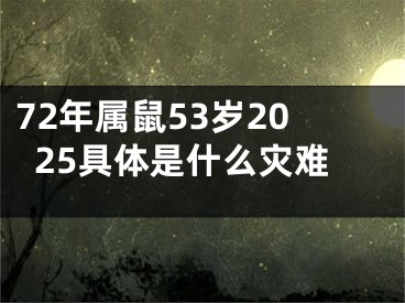72年属鼠53岁2025具体是什么灾难
