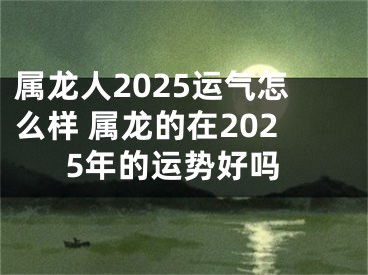 属龙人2025运气怎么样 属龙的在2025年的运势好吗