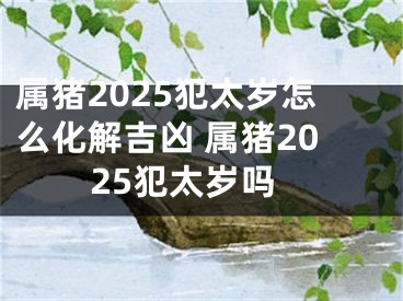 属猪2025犯太岁怎么化解吉凶 属猪2025犯太岁吗