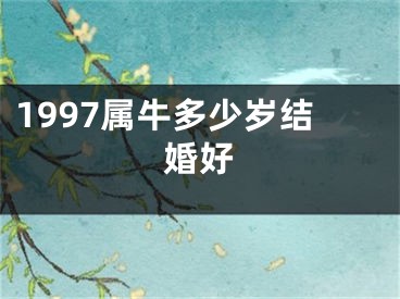 1997属牛多少岁结婚好