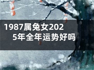 1987属兔女2025年全年运势好吗