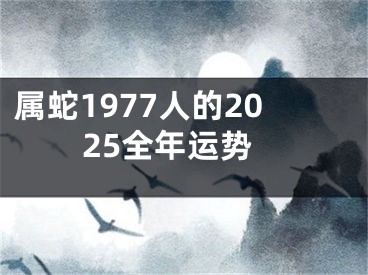属蛇1977人的2025全年运势