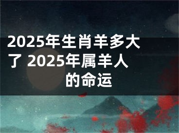 2025年生肖羊多大了 2025年属羊人的命运