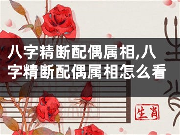 八字精断配偶属相,八字精断配偶属相怎么看