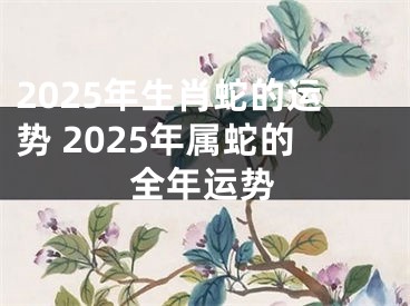2025年生肖蛇的运势 2025年属蛇的全年运势