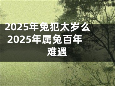 2025年兔犯太岁么 2025年属兔百年难遇