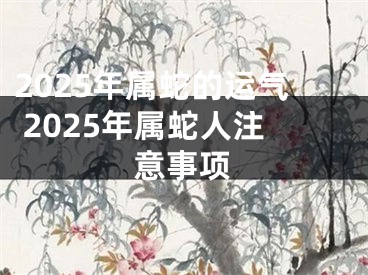 2025年属蛇的运气 2025年属蛇人注意事项