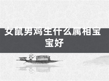 女鼠男鸡生什么属相宝宝好