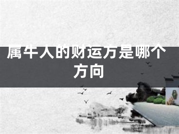 属牛人的财运方是哪个方向