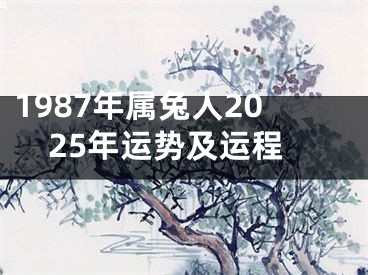 1987年属兔人2025年运势及运程