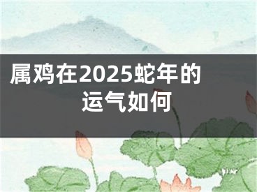 属鸡在2025蛇年的运气如何