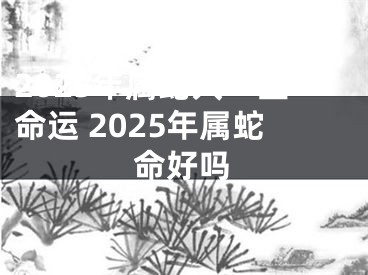 2025年属蛇人一生命运 2025年属蛇命好吗