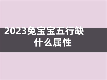 2023兔宝宝五行缺什么属性