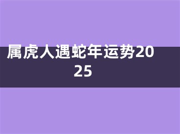 属虎人遇蛇年运势2025