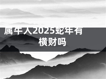 属牛人2025蛇年有横财吗