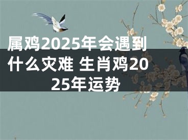 属鸡2025年会遇到什么灾难 生肖鸡2025年运势