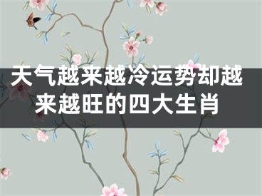 天气越来越冷运势却越来越旺的四大生肖
