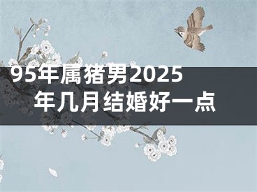 95年属猪男2025年几月结婚好一点