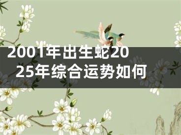 2001年出生蛇2025年综合运势如何