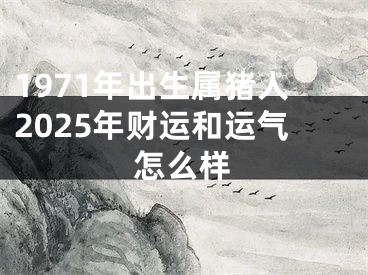 1971年出生属猪人2025年财运和运气怎么样