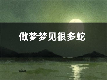 做梦梦见很多蛇