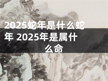 2025蛇年是什么蛇年 2025年是属什么命