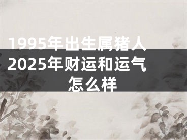 1995年出生属猪人2025年财运和运气怎么样