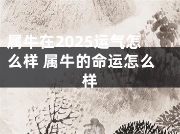 属牛在2025运气怎么样 属牛的命运怎么样